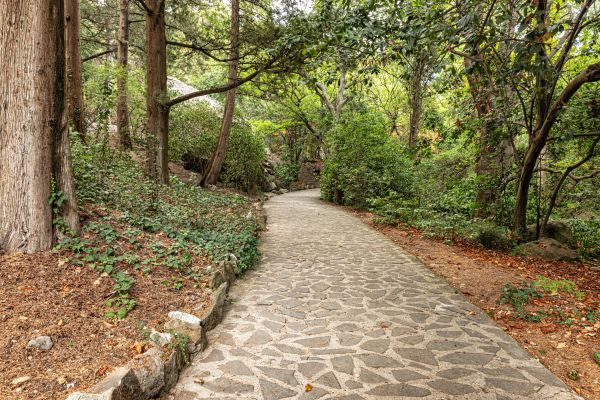 Stone Walkway Repair in Brownsburg