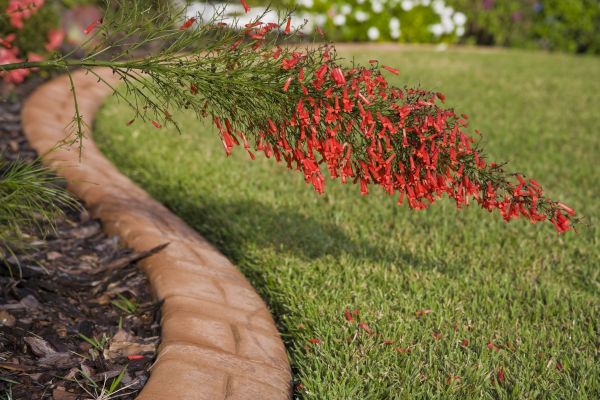 Brick Edging in Brownsburg